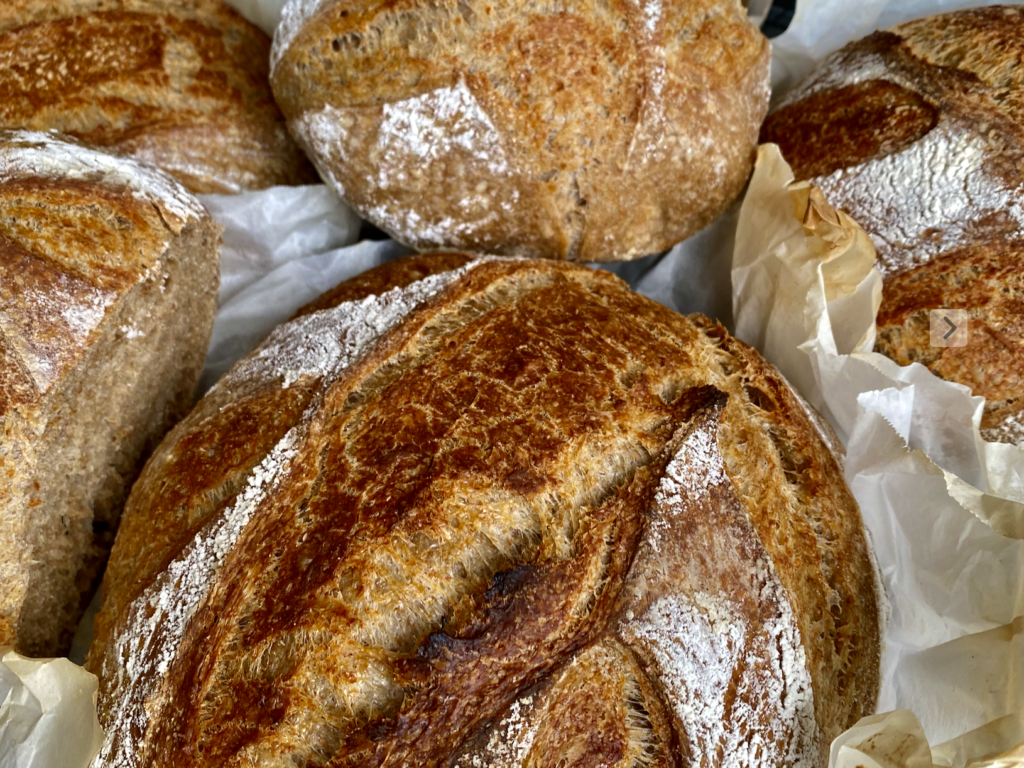Sourdough YOKO